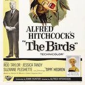 The_birds_300